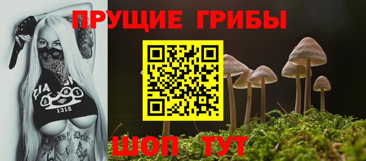 Псилоцибиновые грибы GOLDEN TEACHER Чайковский