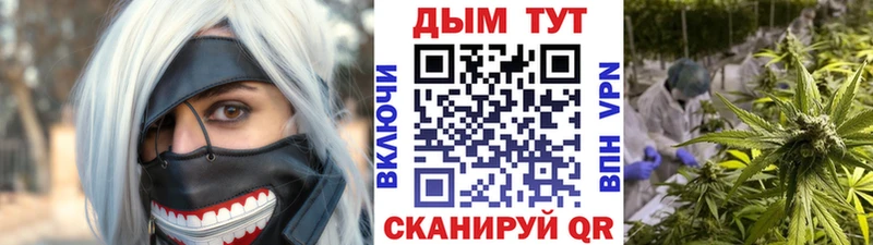 купить наркотики цена  Чайковский  Бошки Шишки THC 21% 