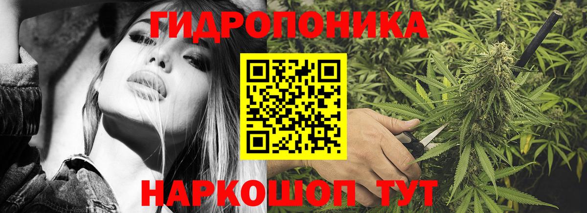 Каннабис MAZAR  Вход с VPN  Чайковский  Конопля MAZAR  Каннабис тримм 